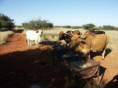090509_South_Africa 135